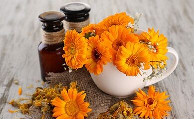 Recipes for folk remedies for papillomas